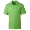 Cutter & Buck Men's Cilantro Heather Tall DryTec Chelan Polo