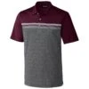 Cutter & Buck Men's Bordeaux Alki Sport Stripe Polo -Cutter & Buck CA MCK01053 BRD F
